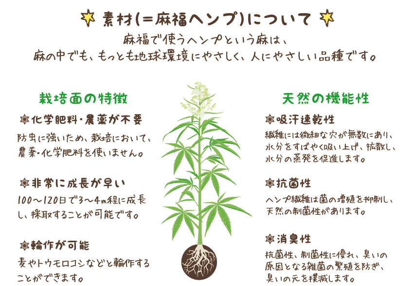 麻福アルキラク_12